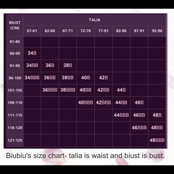 NWT Biubiu shirt 34BB - Picture 3 of 4